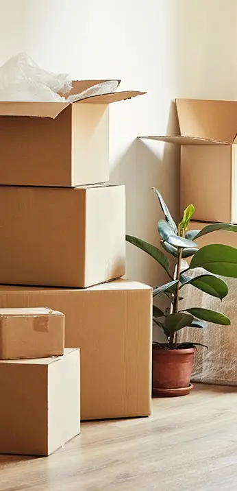Moving boxes